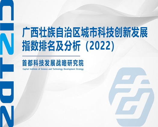 淫荡嫩逼视频【成果发布】广西壮族自治区城市科技创新发展指数排名及分析（2022）